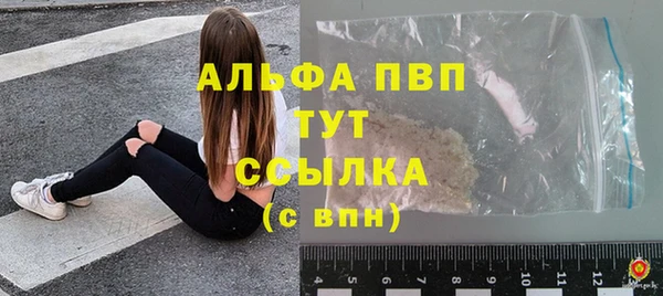 ешки Новозыбков