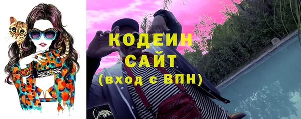 ешки Новодвинск