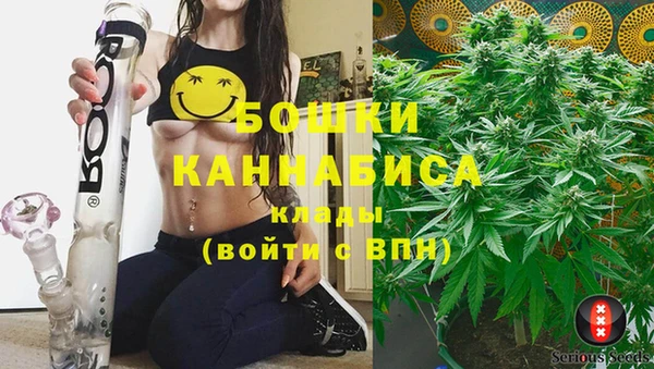 ешки Новозыбков