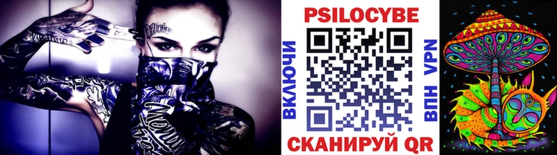 darknet Telegram  купить  цена  кракен ONION  Ладушкин  Галлюциногенные грибы мухоморы 